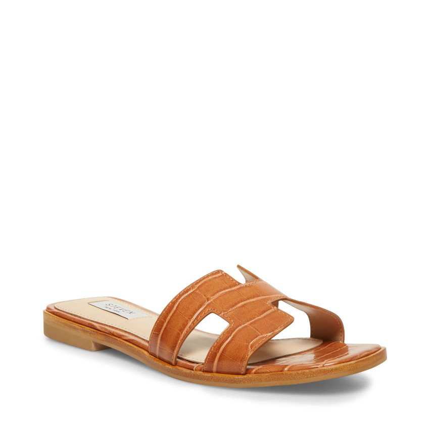 Brown Steve Madden Hadyn Women\'s Slides | PH 0754UVL